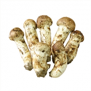 자연산 냉동송이버섯 (국내산) ( 1Kg / 2등급 )